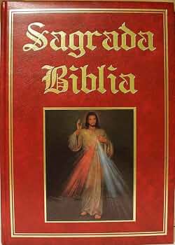 高級版 Sagrada Biblia キリスト教聖書 Sagrada Biblia: 9789706121424: Amazon.com: Books